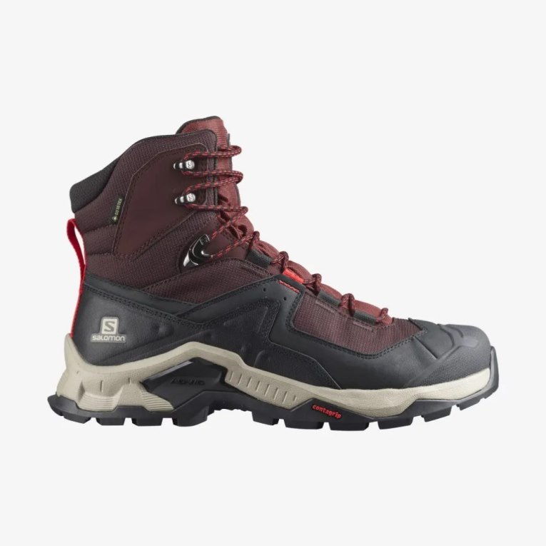 Burgundy / Black Salomon Quest Element GTX Men\'s Hiking Boots | PH 06812T